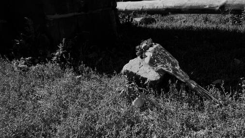 Untitled Untitled